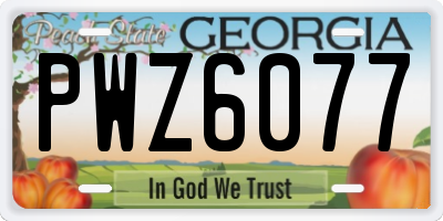 GA license plate PWZ6077