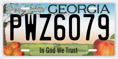 GA license plate PWZ6079
