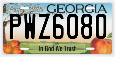 GA license plate PWZ6080