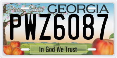 GA license plate PWZ6087