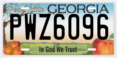 GA license plate PWZ6096