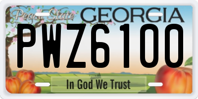 GA license plate PWZ6100