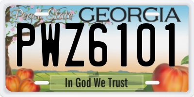 GA license plate PWZ6101