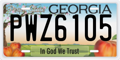 GA license plate PWZ6105