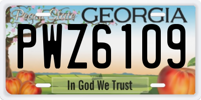 GA license plate PWZ6109