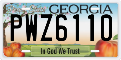 GA license plate PWZ6110