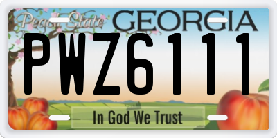 GA license plate PWZ6111