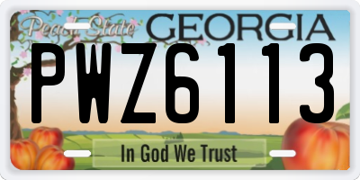 GA license plate PWZ6113
