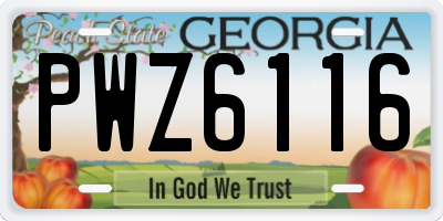 GA license plate PWZ6116