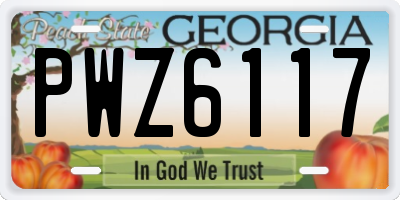 GA license plate PWZ6117