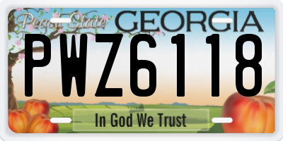 GA license plate PWZ6118