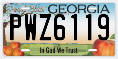 GA license plate PWZ6119