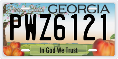 GA license plate PWZ6121