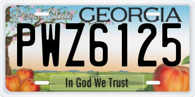 GA license plate PWZ6125