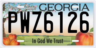 GA license plate PWZ6126