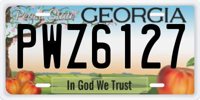 GA license plate PWZ6127