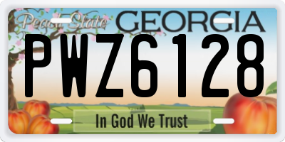 GA license plate PWZ6128