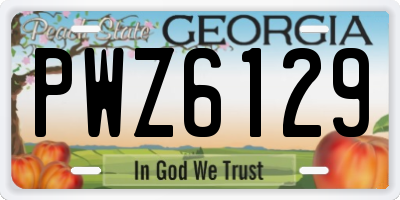 GA license plate PWZ6129