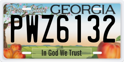 GA license plate PWZ6132