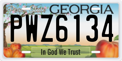 GA license plate PWZ6134