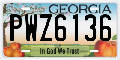 GA license plate PWZ6136