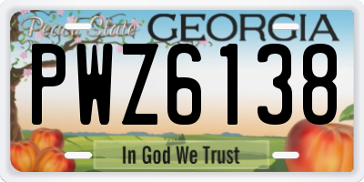 GA license plate PWZ6138