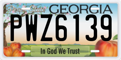 GA license plate PWZ6139