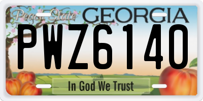 GA license plate PWZ6140