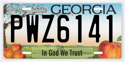 GA license plate PWZ6141