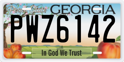 GA license plate PWZ6142
