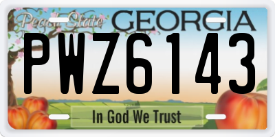 GA license plate PWZ6143