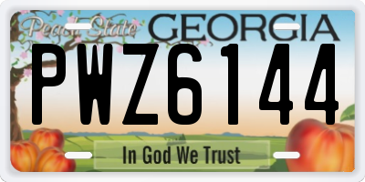 GA license plate PWZ6144