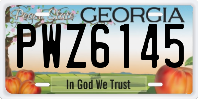 GA license plate PWZ6145