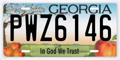 GA license plate PWZ6146