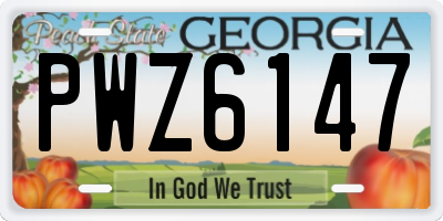 GA license plate PWZ6147