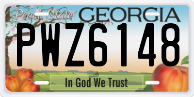 GA license plate PWZ6148