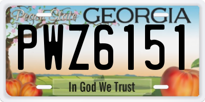 GA license plate PWZ6151
