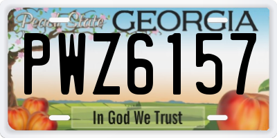 GA license plate PWZ6157