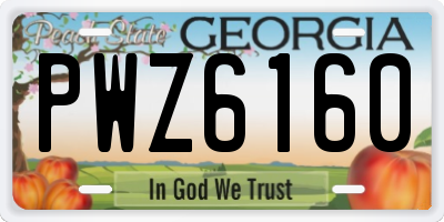 GA license plate PWZ6160