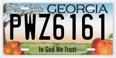 GA license plate PWZ6161