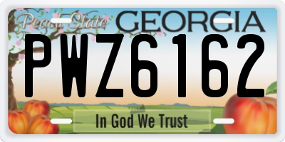 GA license plate PWZ6162