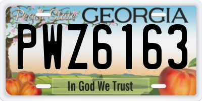 GA license plate PWZ6163