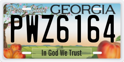 GA license plate PWZ6164