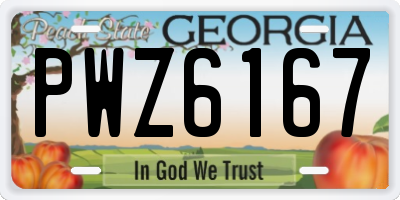 GA license plate PWZ6167