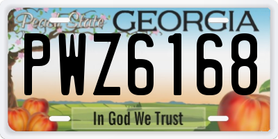 GA license plate PWZ6168