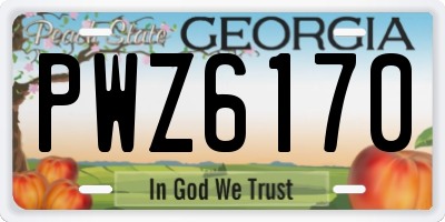 GA license plate PWZ6170