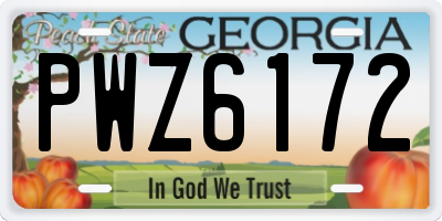 GA license plate PWZ6172