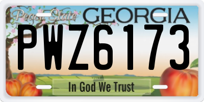 GA license plate PWZ6173