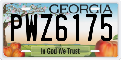 GA license plate PWZ6175