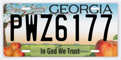 GA license plate PWZ6177